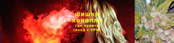 прущие крисы Галич