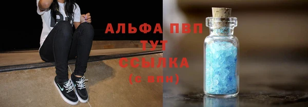 сатива Протвино