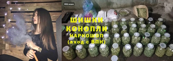 сатива Протвино
